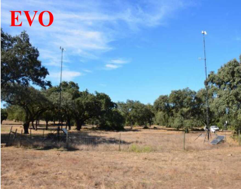 Satellite Model Tackles Hotspot Effect, Boosting Land Surface Temperature Accuracy by 20%