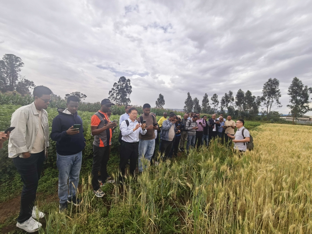 CropWatch and ETWatch Training Workshop Held in Ethiopia to Boost Agricultural Resilience in Africa