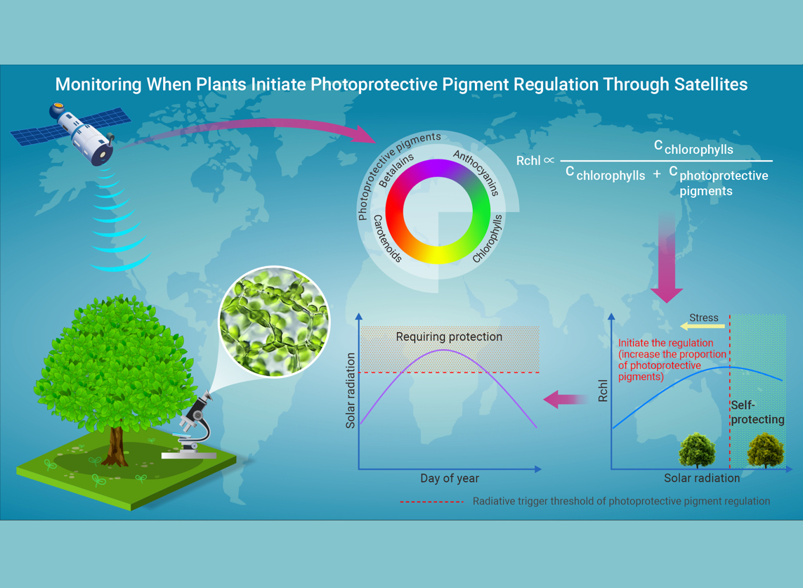 First-Ever Satellite Monitoring of Leaf Photoprotective Pigment Regulation in Global Vegetation