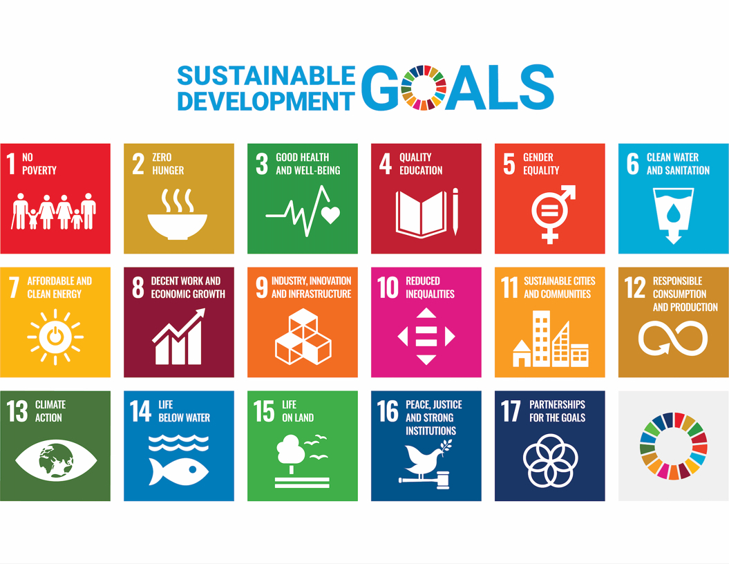 Progress Persists for Low-Baseline SDGs, While High-Baseline Goals Stagnate or Reverse
