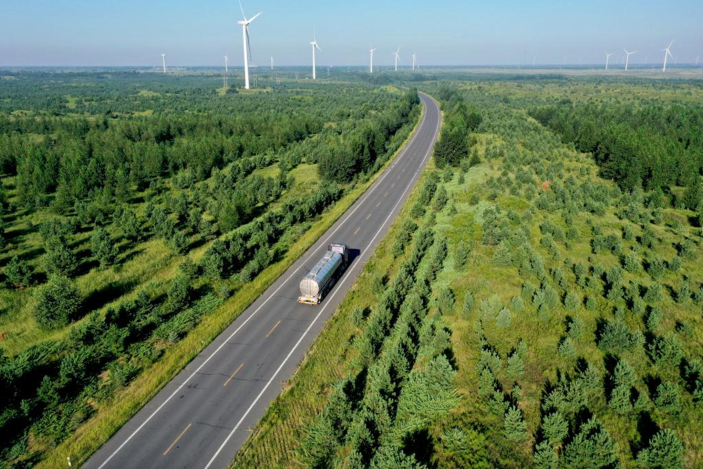 Earth Observation Reveals Spatial Patterns of Farmland Shelterbelts in  Three-North Region of China