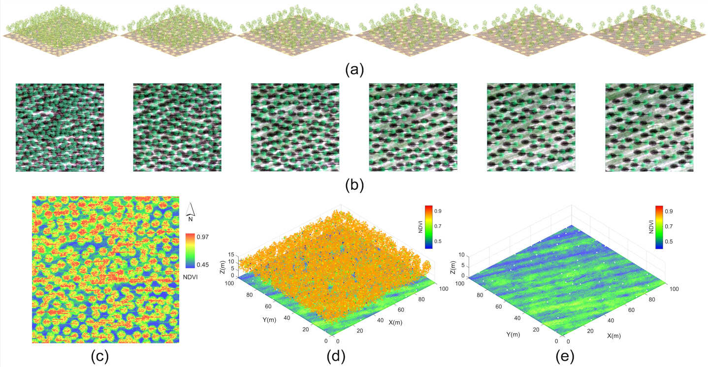 Hyperspectral LiDAR Reveals Soil Properties Beneath Vegetation Canopies